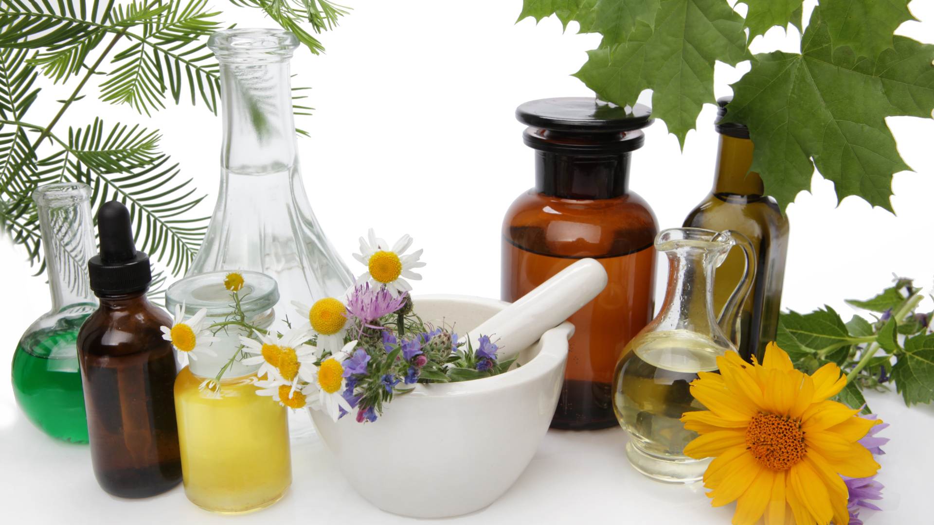 The Truth About 'Natural' vs. 'Organic': What Do These Labels Really Mean?